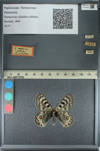 Media type: image;   Entomology 180402